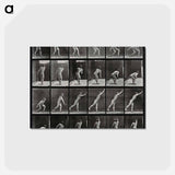 アートポストカード-Discus Thrower
 - エドワード マイブリッジ Postcard.