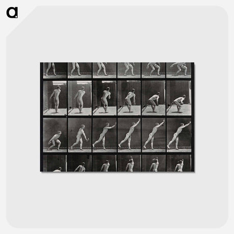 アートポストカード-Discus Thrower
 - エドワード マイブリッジ Postcard.