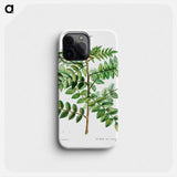 Sicilian sumac (Rhus coriaria) - ピエール ジョゼフ ルドゥーテ Phone Case.