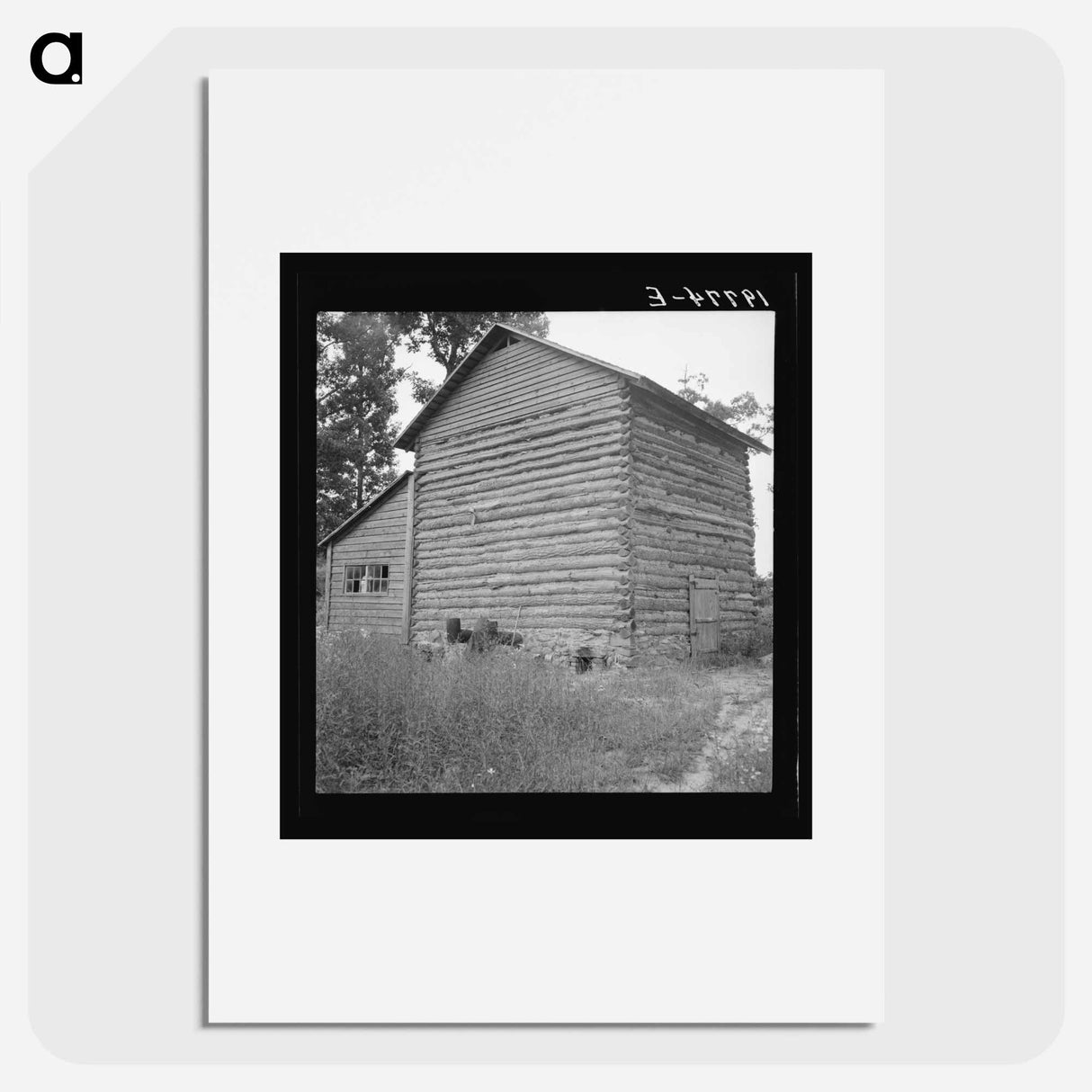 Tobacco barn and shed - Dorothea Lange Poster.