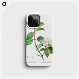 Blackhaw - Pierre Joseph Redouté Phone Case.