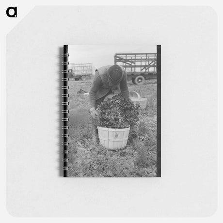 アートメモ帳-Roadside Rest
 - ラッセル リー Memo.