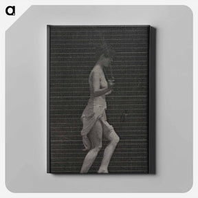 アートパネル-Skipping Woman
 - エドワード マイブリッジ Canvas.