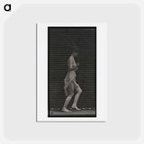 アートポストカード-Skipping Woman
 - エドワード マイブリッジ Postcard.