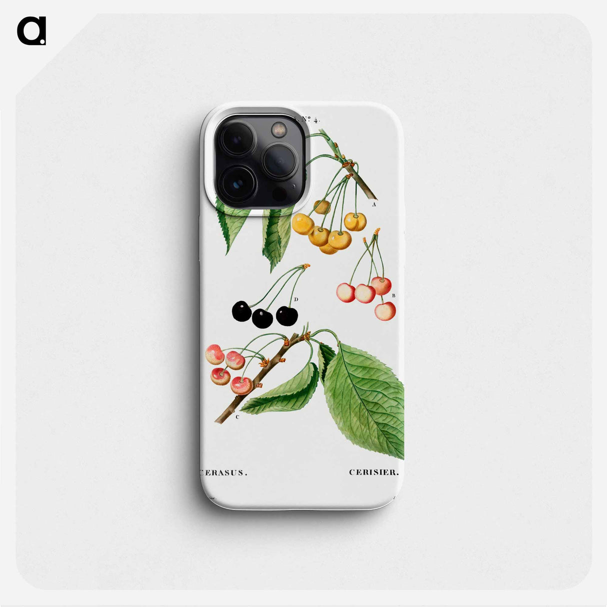 Cherry, Cerasus - ピエール ジョゼフ ルドゥーテ Phone Case.