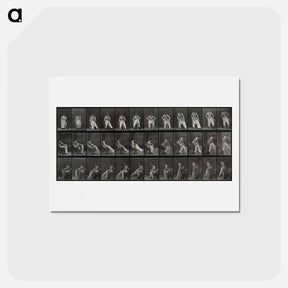 アートポストカード-Putting on Bloomers
 - エドワード マイブリッジ Postcard.