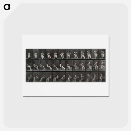 アートポストカード-Putting on Bloomers
 - エドワード マイブリッジ Postcard.