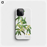 Russian olive - Pierre Joseph Redouté Phone Case.