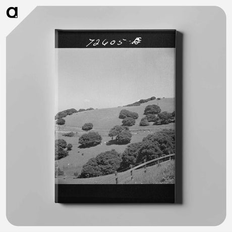 アートパネル-Greene County, Georgia
 - ラッセル リー Canvas.