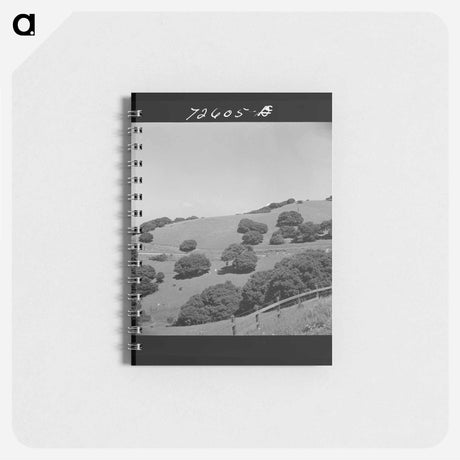 アートメモ帳-Greene County, Georgia
 - ラッセル リー Memo.