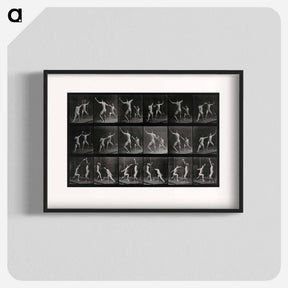 アートポスター-Fencing
 - エドワード マイブリッジ Poster.