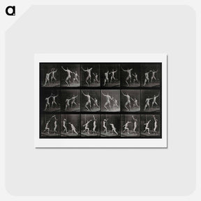 アートポストカード-Fencing
 - エドワード マイブリッジ Postcard.
