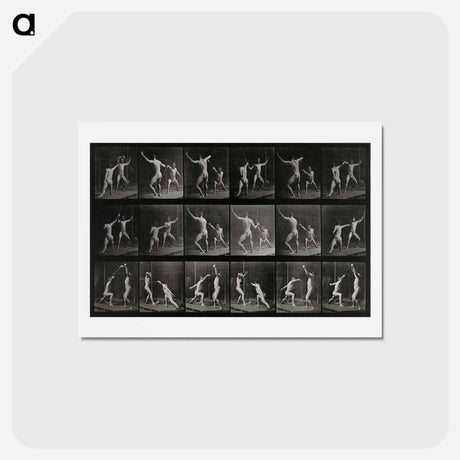 アートポストカード-Fencing
 - エドワード マイブリッジ Postcard.