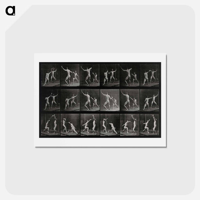 アートポストカード-Fencing
 - エドワード マイブリッジ Postcard.