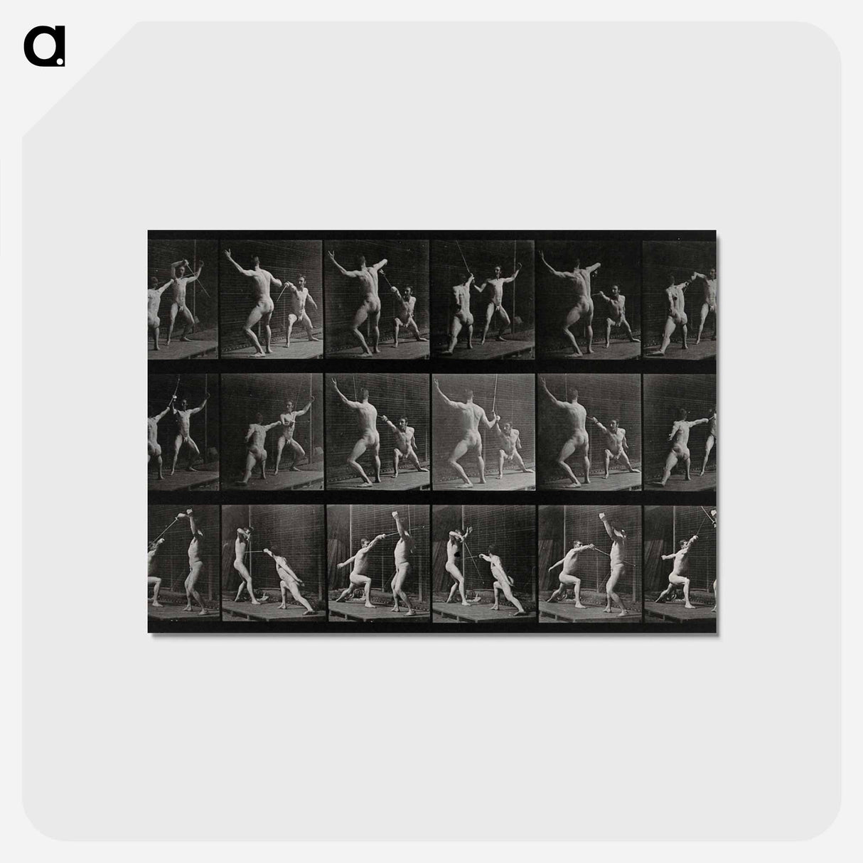 アートポストカード-Fencing
 - エドワード マイブリッジ Postcard.