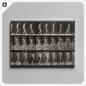 アートパネル-Amputee on Crutches
 - エドワード マイブリッジ Canvas.