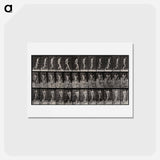 アートポストカード-Amputee on Crutches
 - エドワード マイブリッジ Postcard.