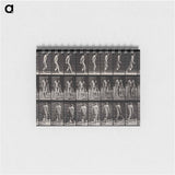 アートメモ帳-Amputee on Crutches
 - エドワード マイブリッジ Memo.