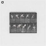アートメモ帳-Dog Jumping a Hurdle
 - エドワード マイブリッジ Memo.