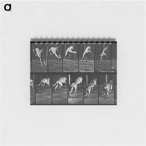アートメモ帳-Dog Jumping a Hurdle
 - エドワード マイブリッジ Memo.