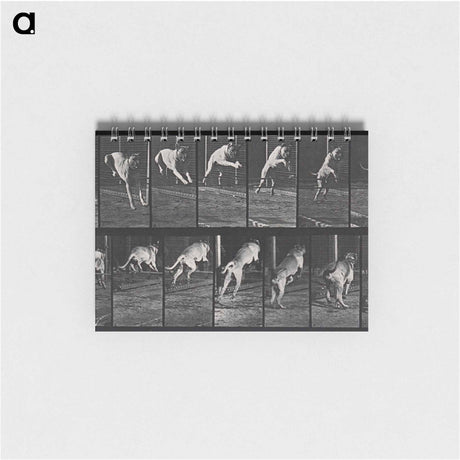 アートメモ帳-Dog Jumping a Hurdle
 - エドワード マイブリッジ Memo.