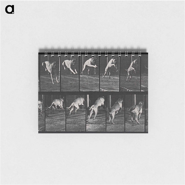 アートメモ帳-Dog Jumping a Hurdle
 - エドワード マイブリッジ Memo.