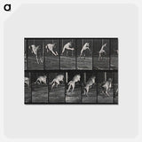 アートポストカード-Dog Jumping a Hurdle
 - エドワード マイブリッジ Postcard.