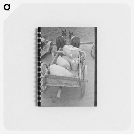 アートメモ帳-Calves at the Feed Trough
 - ラッセル リー Memo.