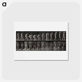 アートポストカード-Barrel Carrier
 - エドワード マイブリッジ Postcard.