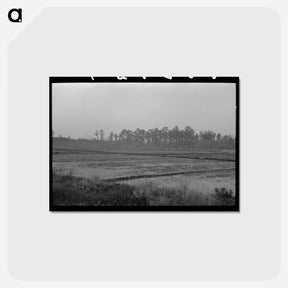 アートポストカード-Cranberry Bog
 - ラッセル リー Postcard.
