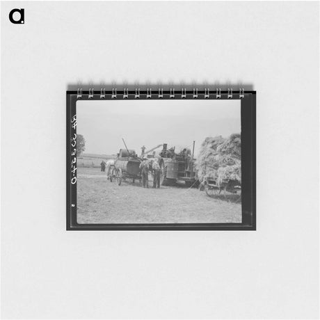 アートメモ帳-Drying the Cow's Bag
 - ラッセル リー Memo.