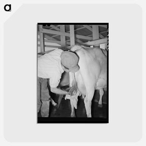 アートポストカード-Drying the Cow's Bag
 - ラッセル リー Postcard.