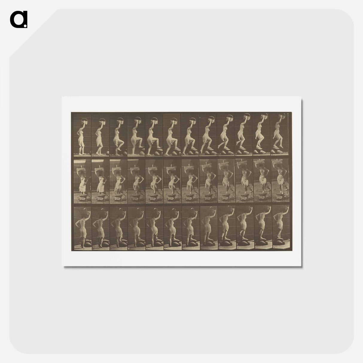 アートポストカード-Animal Locomotion
 - エドワード マイブリッジ Postcard.