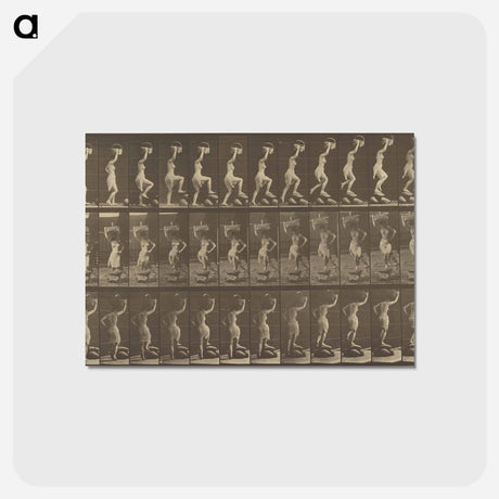 アートポストカード-Animal Locomotion
 - エドワード マイブリッジ Postcard.