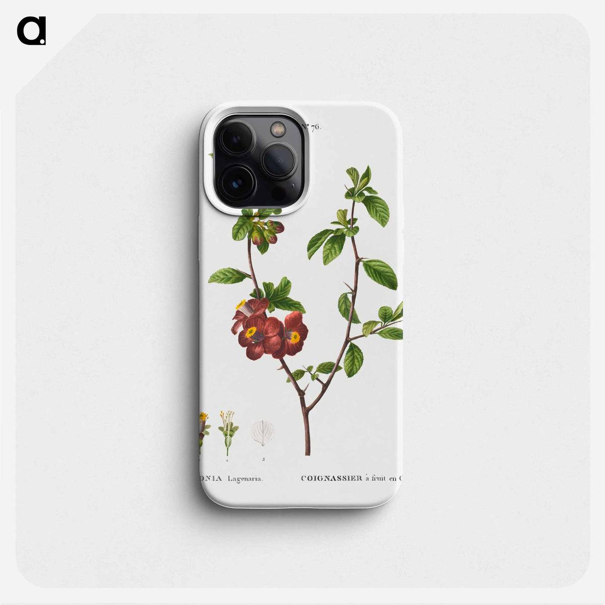 Flowering quince, Cydonia Lagenaria - Pierre Joseph Redouté Phone Case.