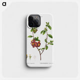 Flowering quince, Cydonia Lagenaria - Pierre Joseph Redouté Phone Case.