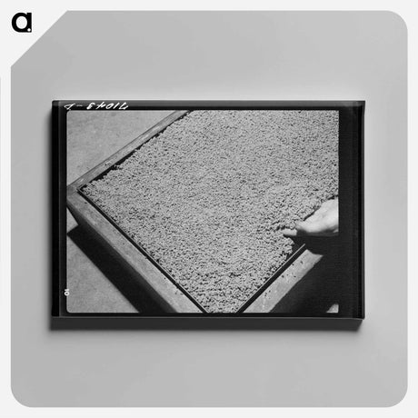 アートパネル-Shasta Dam Construction
 - ラッセル リー Canvas.