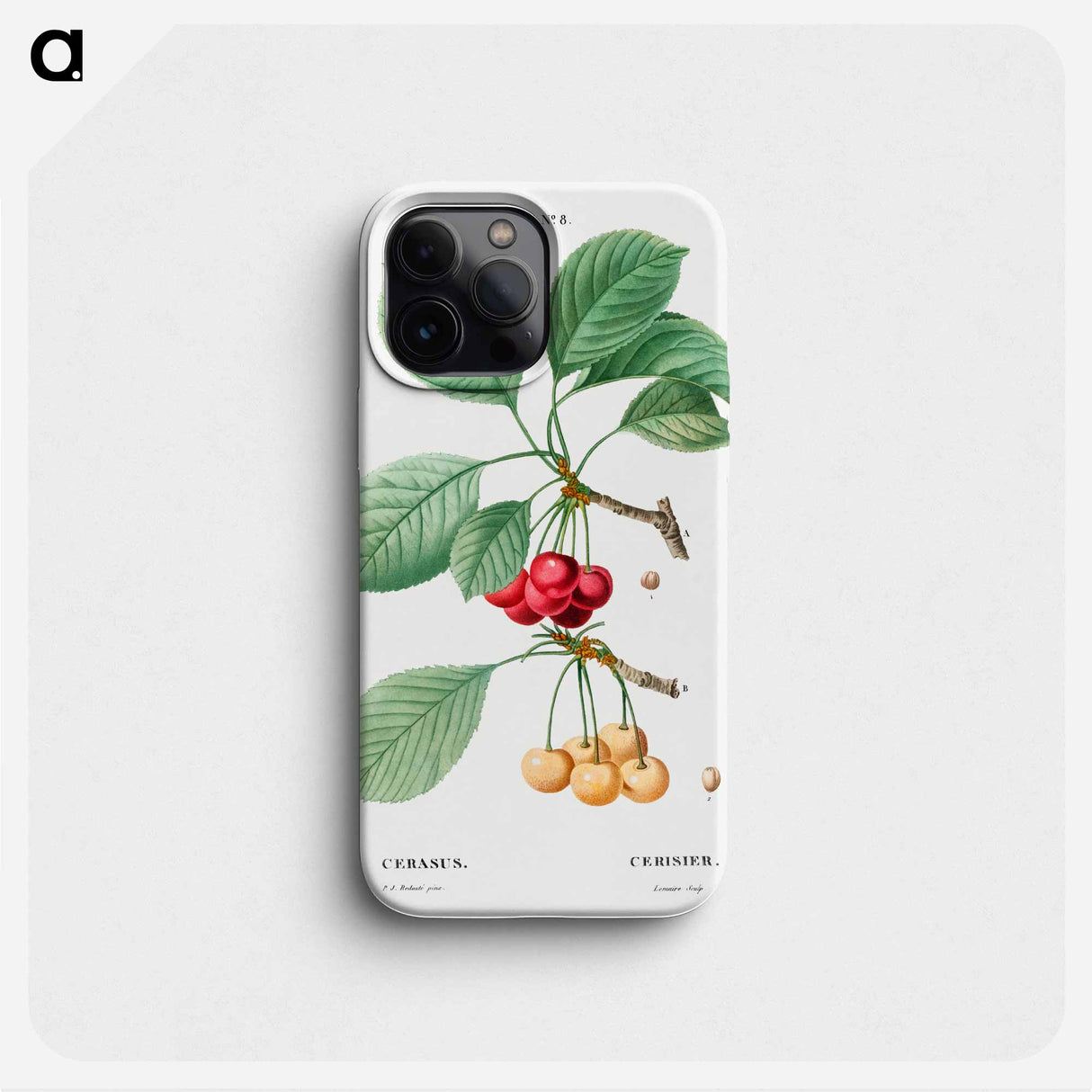 Cherry, Cerasus - ピエール ジョゼフ ルドゥーテ Phone Case.