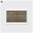 アートポストカード-Animal Locomotion
 - エドワード マイブリッジ Postcard.