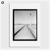 Looking east down the railroad track, near Calipatria, California - Dorothea Lange Poster.