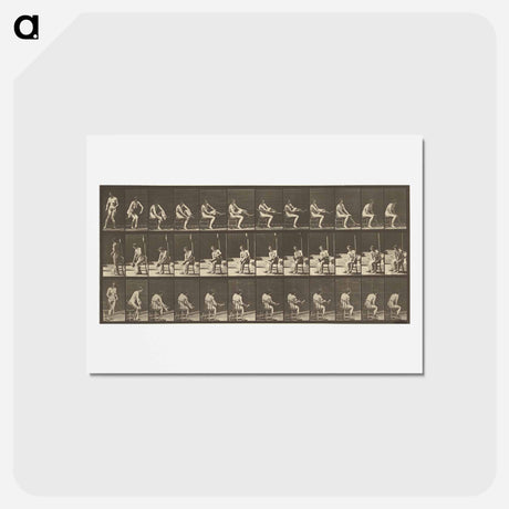 アートポストカード-Animal Locomotion
 - エドワード マイブリッジ Postcard.