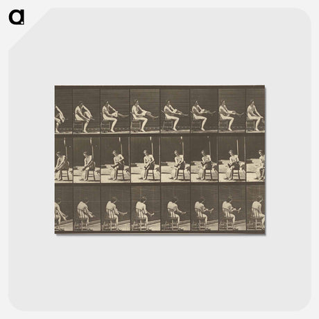 アートポストカード-Animal Locomotion
 - エドワード マイブリッジ Postcard.
