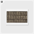 アートポストカード-Animal Locomotion
 - エドワード マイブリッジ Postcard.