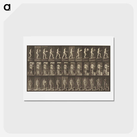 アートポストカード-Animal Locomotion
 - エドワード マイブリッジ Postcard.