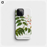 Tree of heaven - Pierre Joseph Redouté Phone Case.
