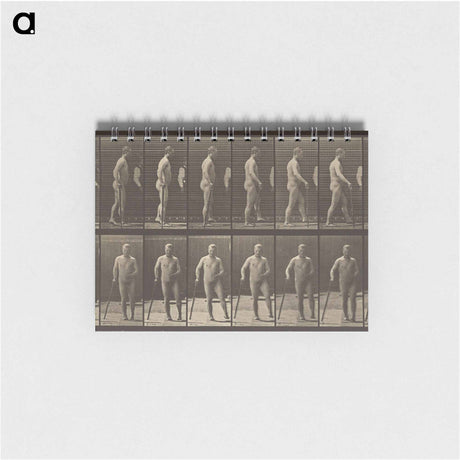 アートメモ帳-Animal Locomotion
 - エドワード マイブリッジ Memo.