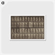 アートポストカード-Animal Locomotion
 - エドワード マイブリッジ Postcard.
