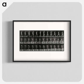 アートポスター-Man Walking
 - エドワード マイブリッジ Poster.
