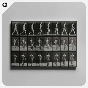 アートパネル-Man Walking
 - エドワード マイブリッジ Canvas.