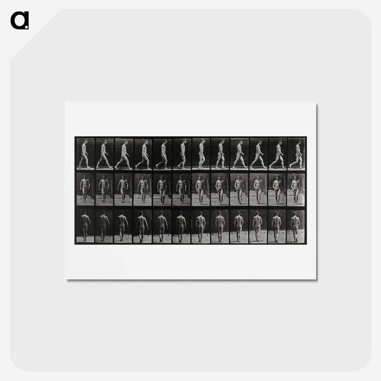 アートポストカード-Man Walking
 - エドワード マイブリッジ Postcard.